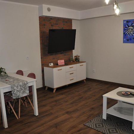 Malinowka Izerska II Apartamento Świeradów-Zdrój Exterior foto
